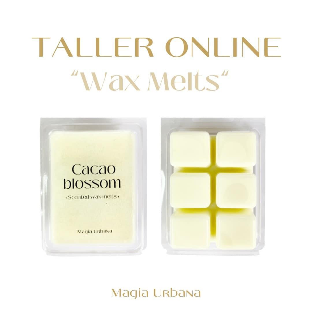 TALLER ONLINE “WAX MELTS”